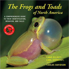 frog